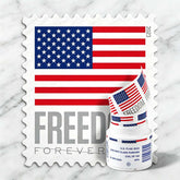 U.S. Flag Series 2023 Forever Postage Stamps