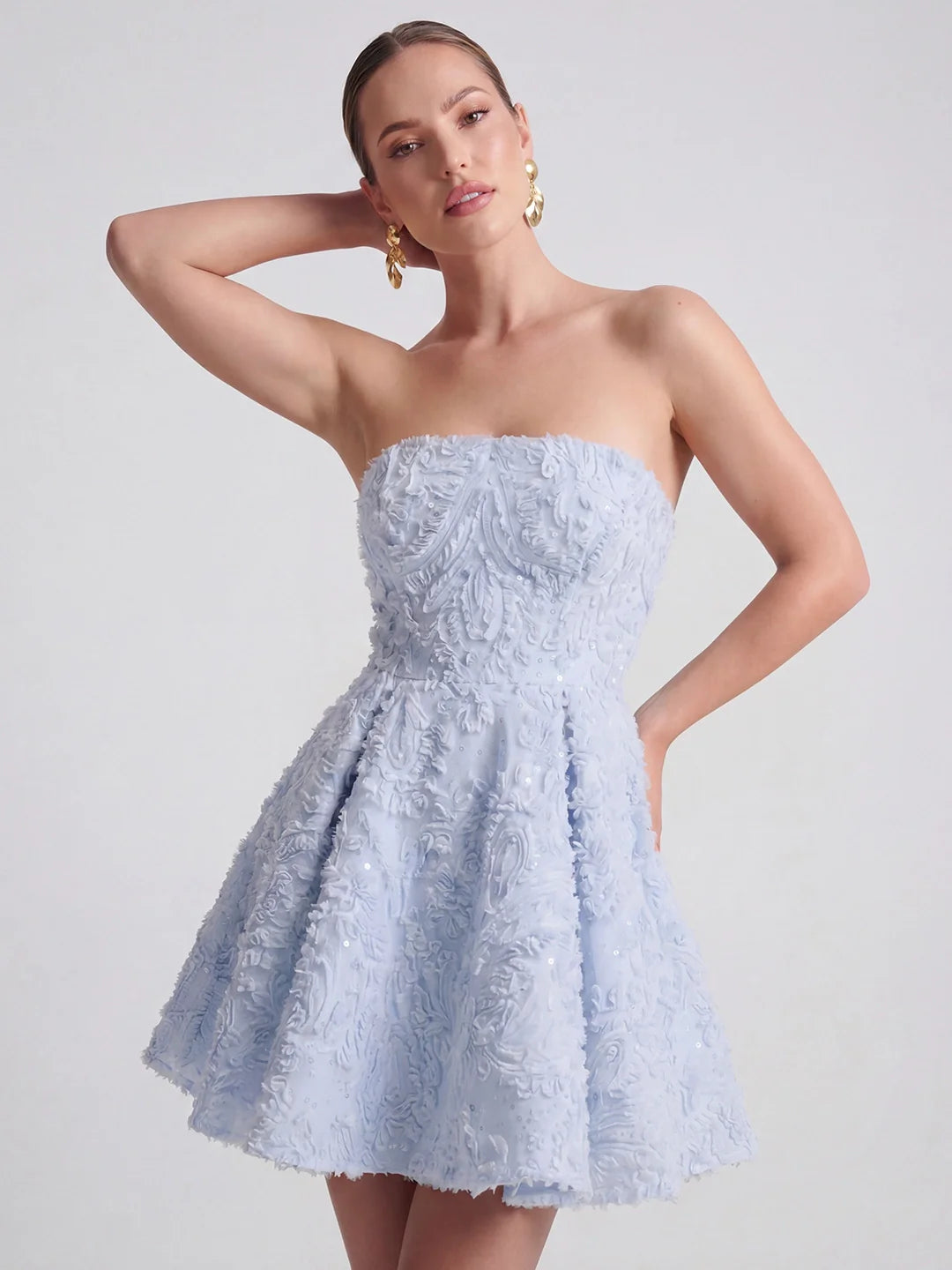 Exquisite Mesh & Sequin Bandeau Mini Dress