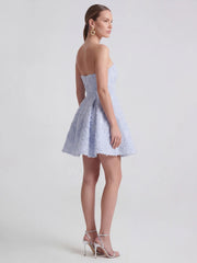 Exquisite Mesh & Sequin Bandeau Mini Dress